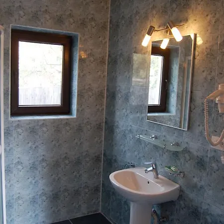 Guest house Pensiunea Bogdan 3*