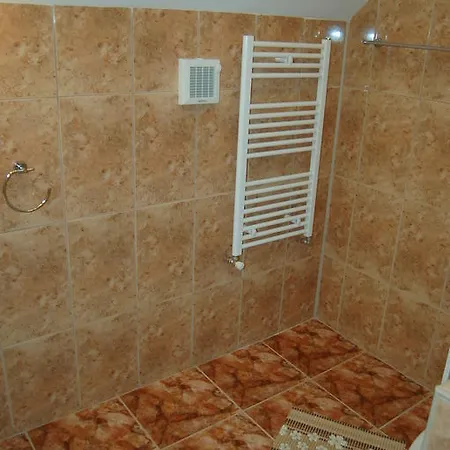 Guest house Pensiunea Bogdan 3*